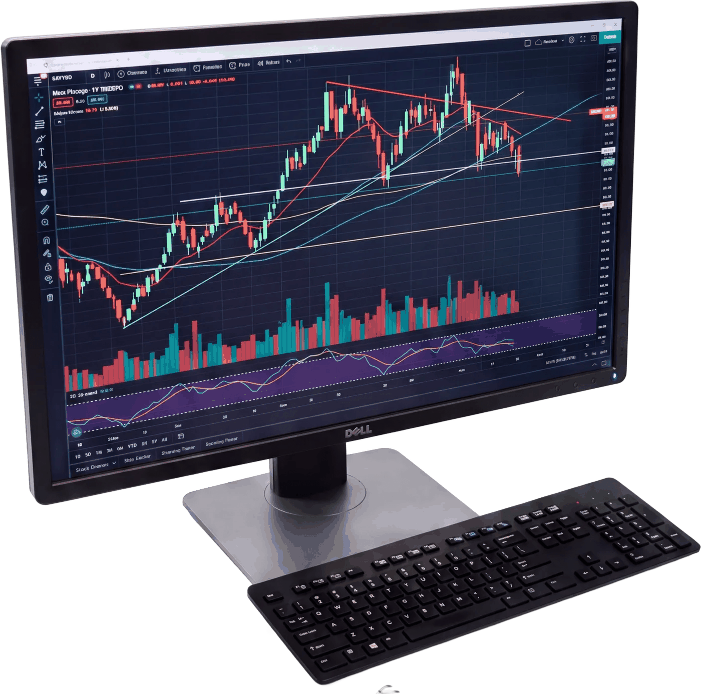 Financial Lines